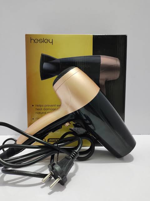 HESLEY Aria Professional Hair Dryer with Diffuser, Concentrator & Cool Shot Knob 2200 Watts,
